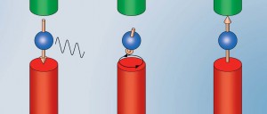 Actiunea regenerativa a terapiei MBST 2 Actiunea regenerativa a terapiei MBST 2