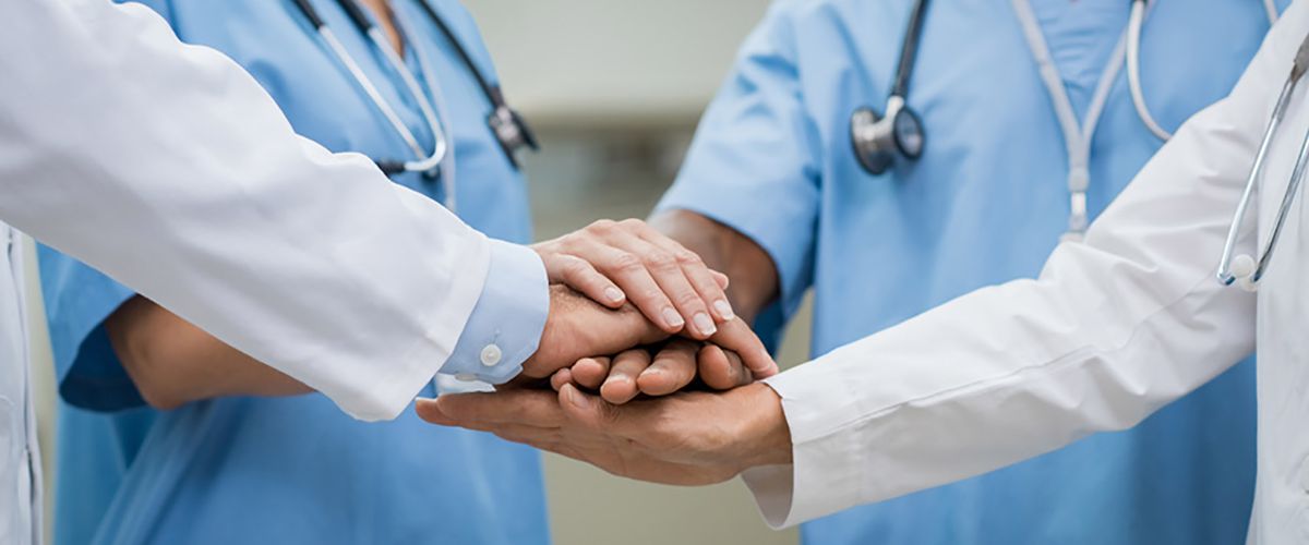 medici laurus medical